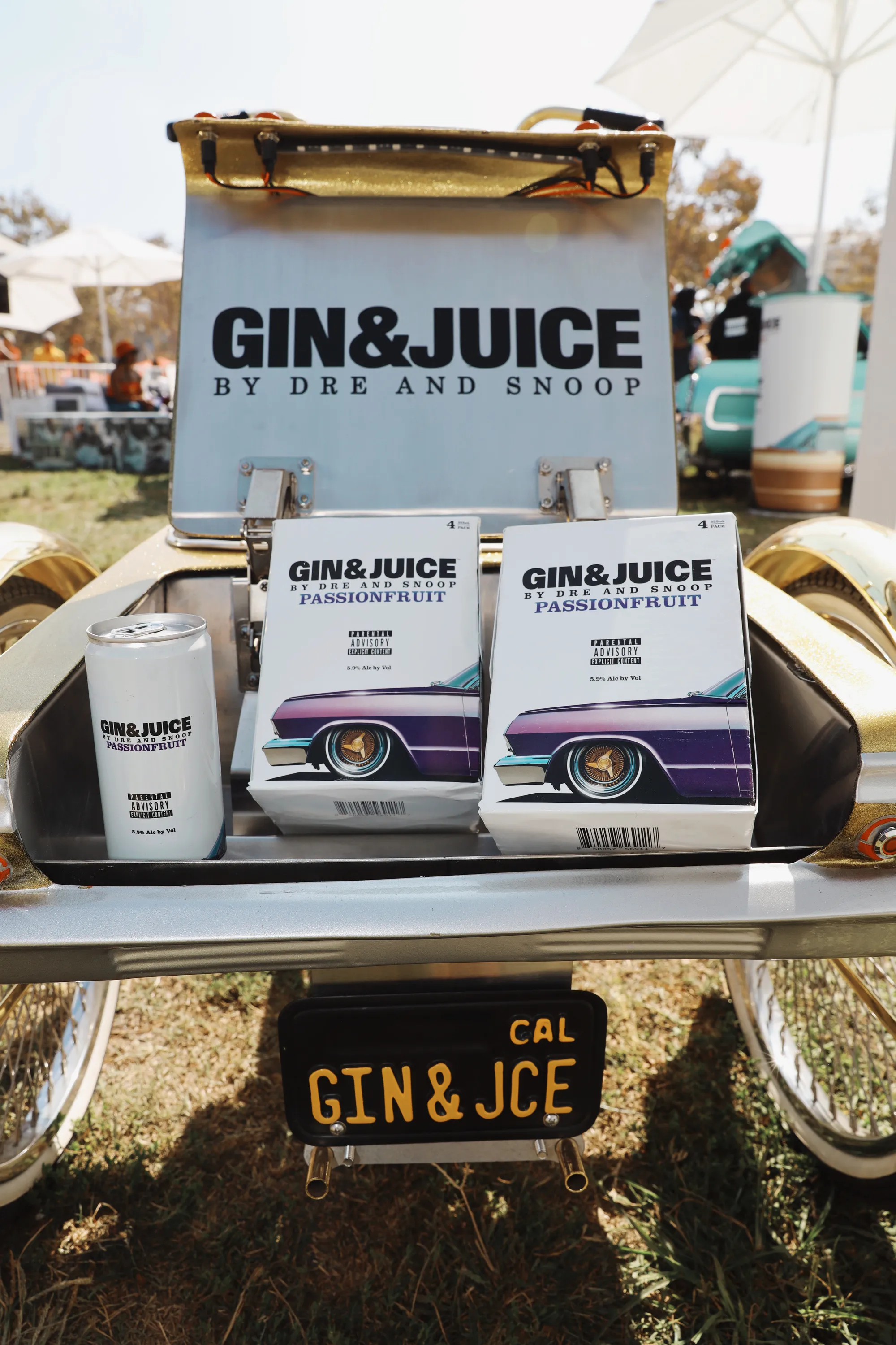Gin & Juice Tailgate Tour — image 9