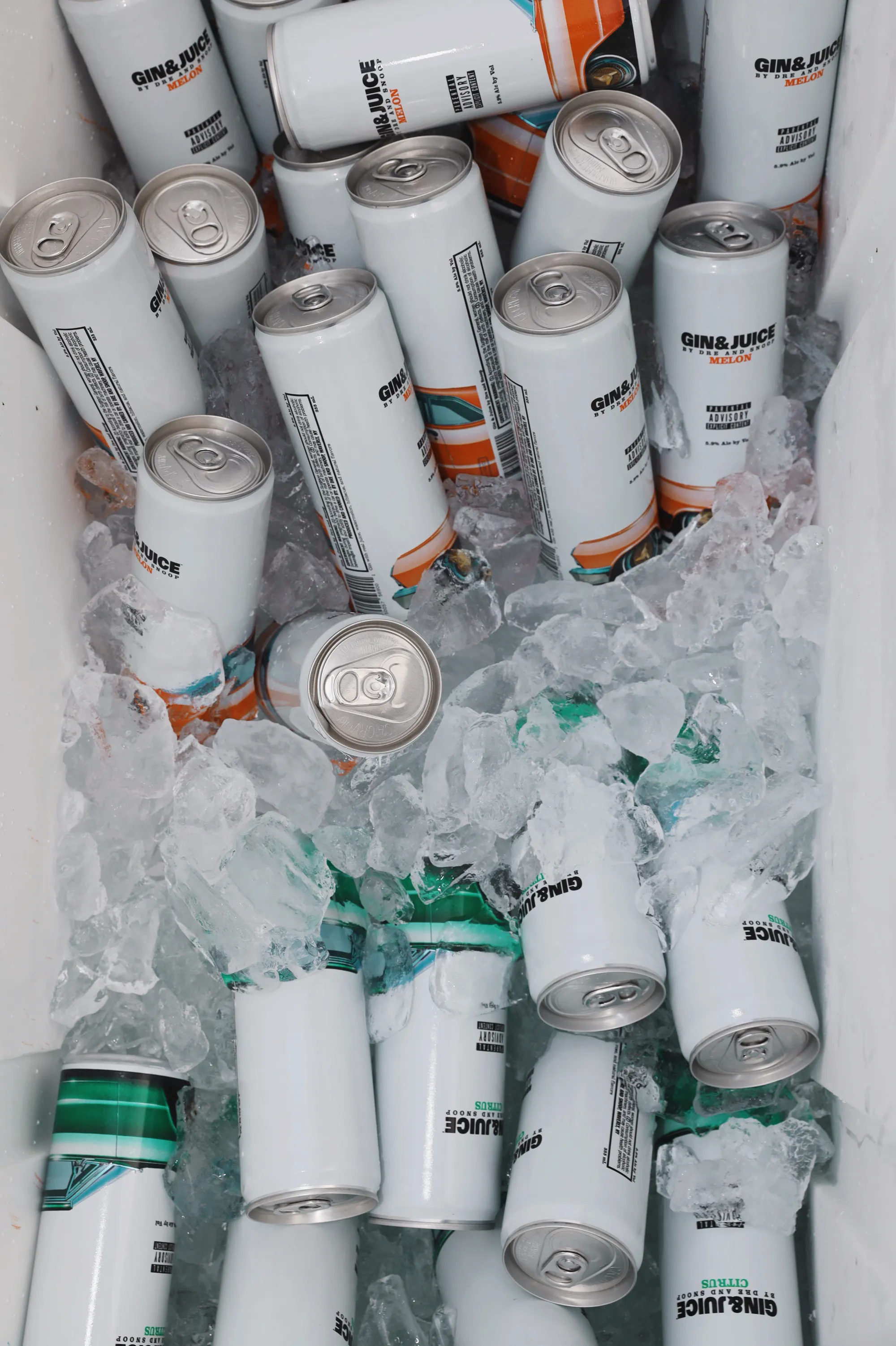 Gin & Juice Tailgate Tour — image 19