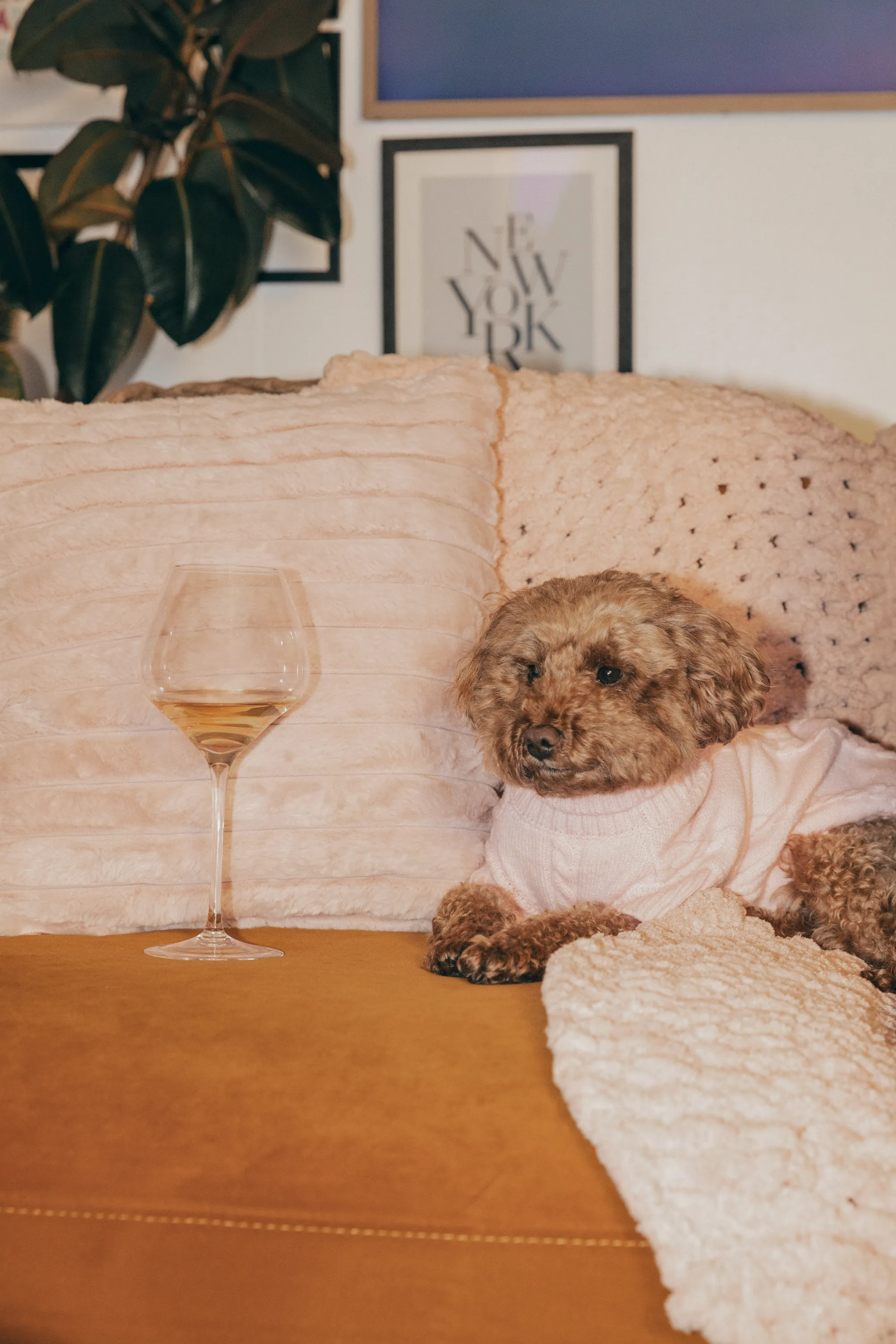 Hampton Water: Vignette Campaign — image 4
