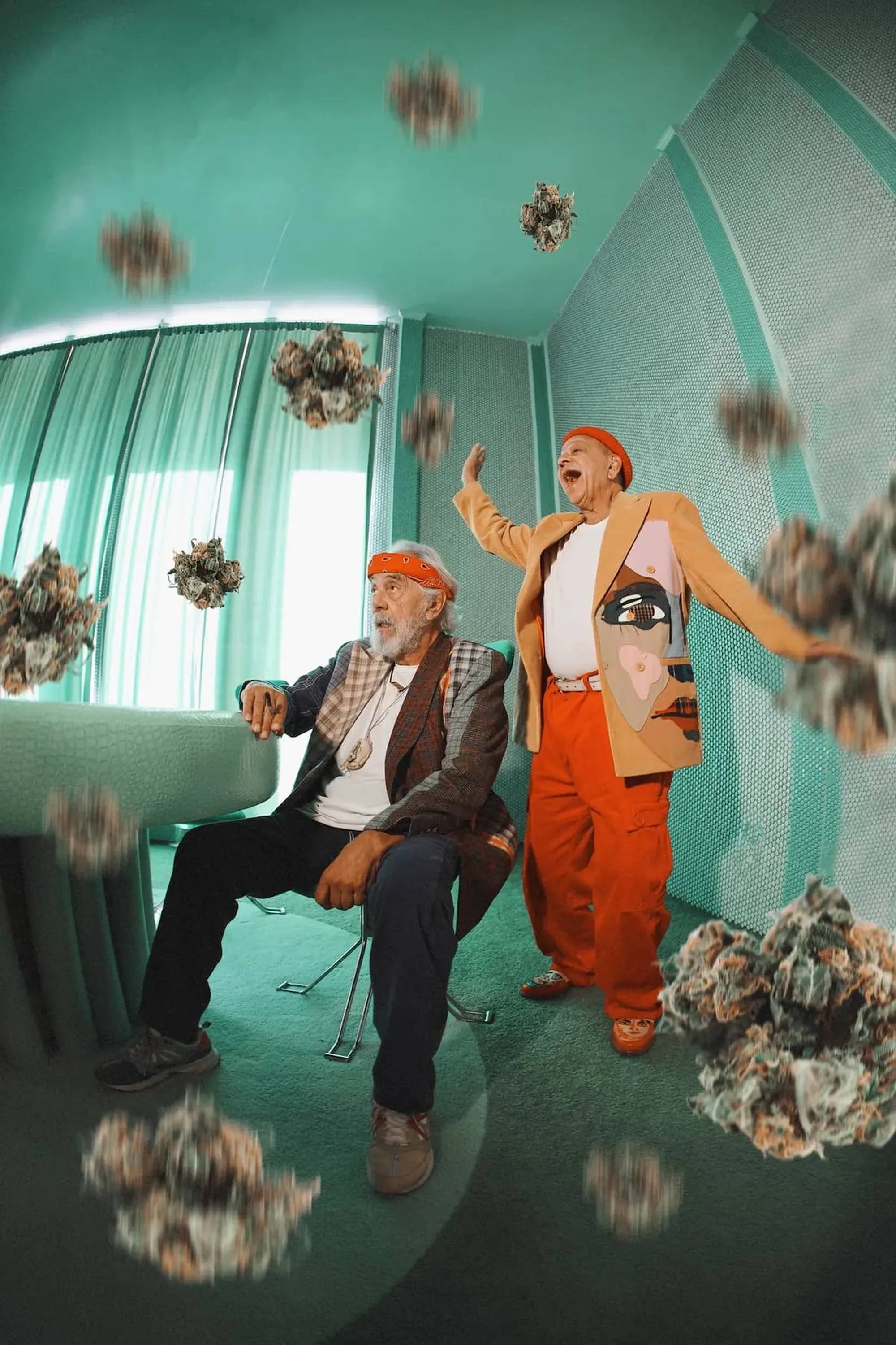 The Rebirth of Cheech and Chong